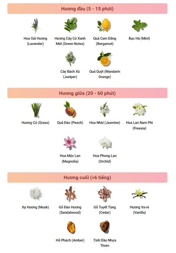 NƯỚC HOA CK BE FULL CHAI 100ML