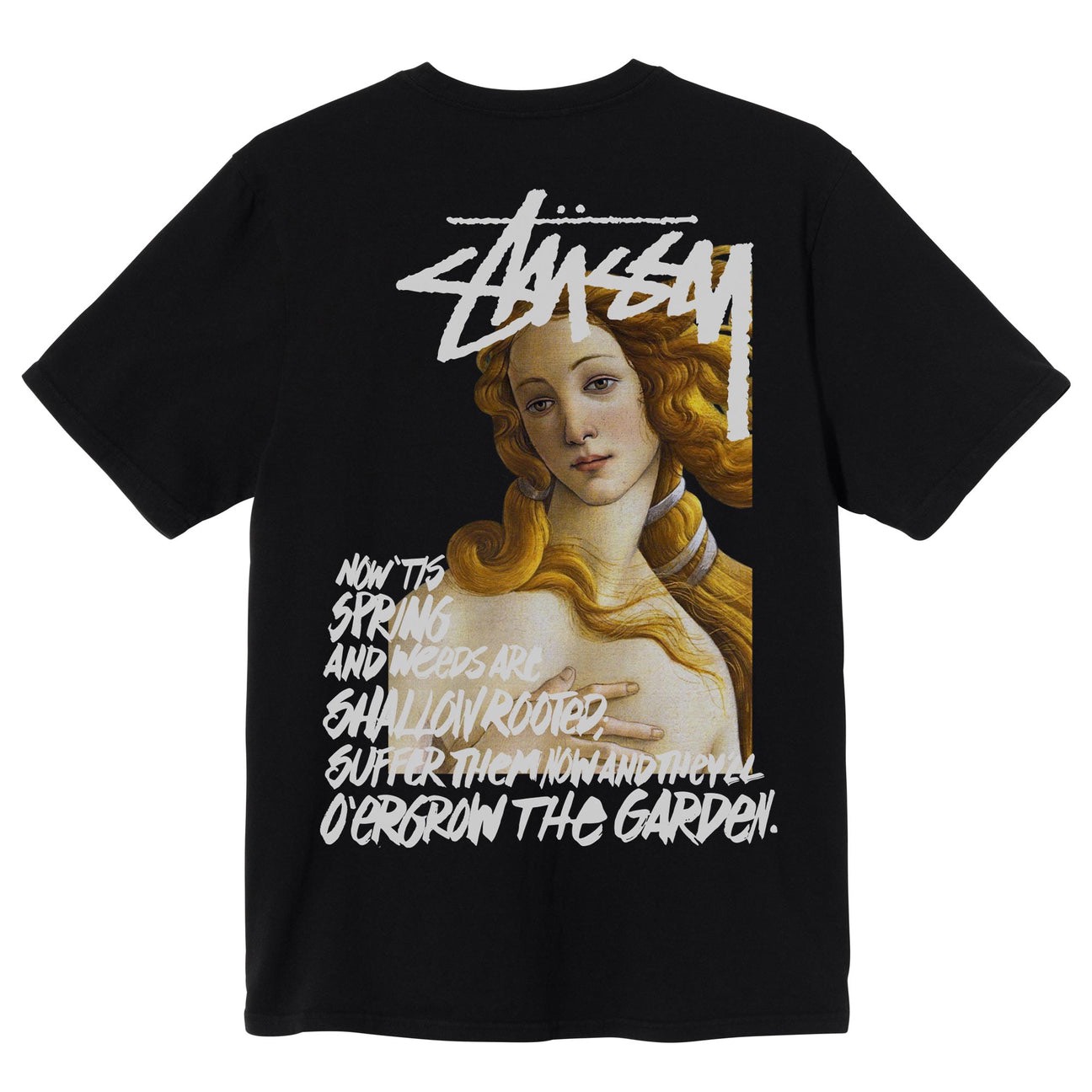 STUSSY SPRING WEEDS TSHIRT - BLACK