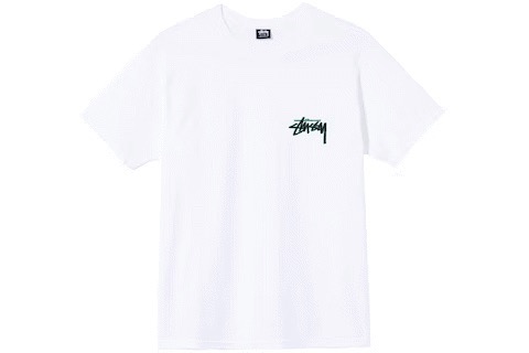 STUSSY MOJAVE TSHIRT - WHITE