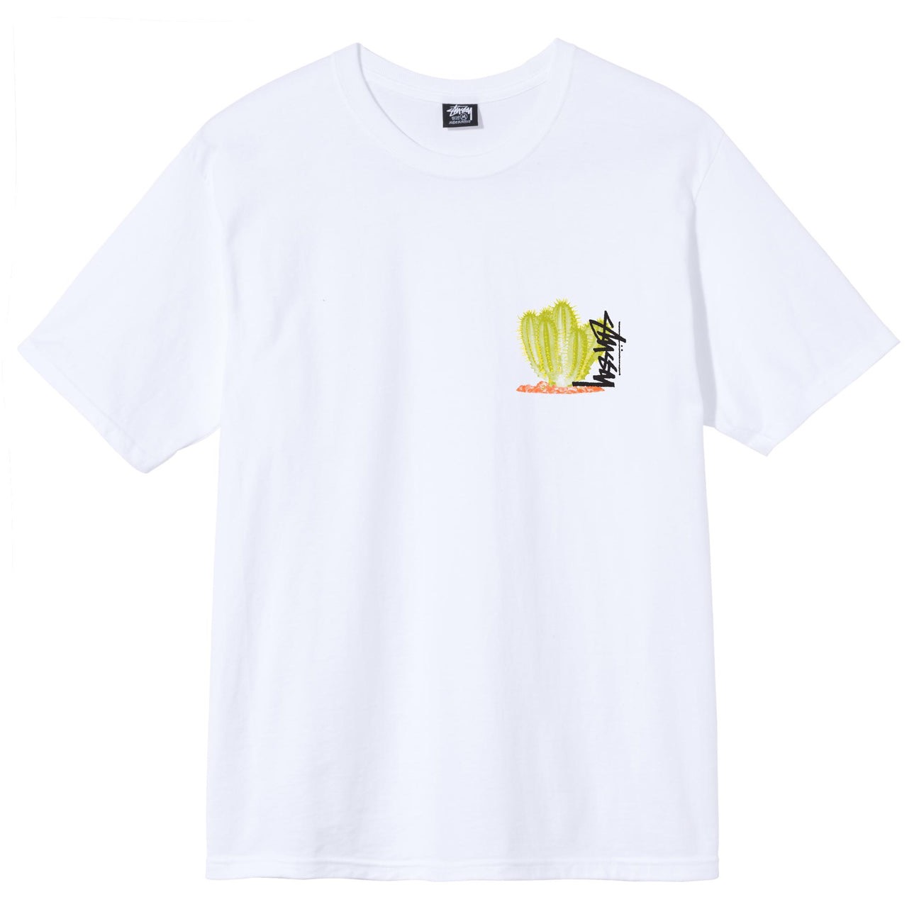 STUSSY DESERT BLOOM TSHIRT - WHITE