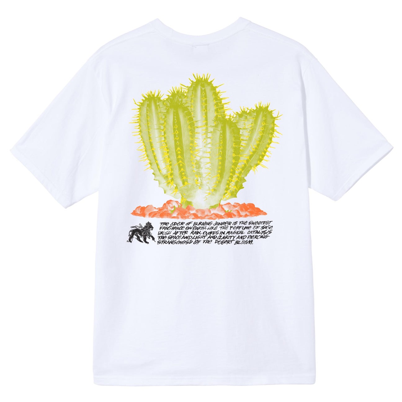 STUSSY DESERT BLOOM TSHIRT - WHITE