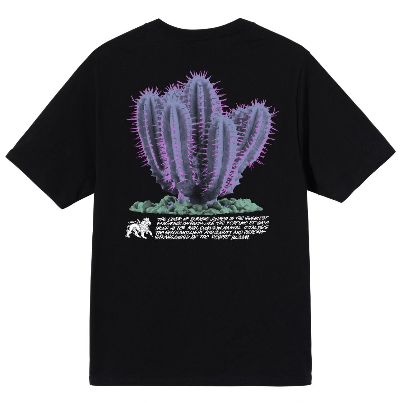 STUSSY DESERT BLOOM TSHIRT - BLACK